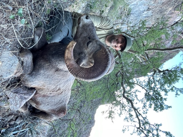 Alt Text is good for SEO